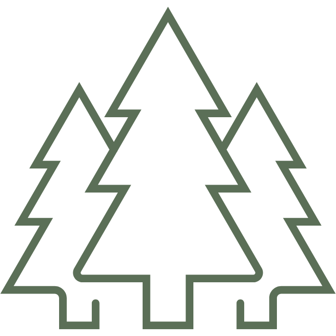 Forests